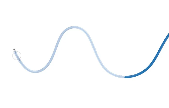 Dayv™ Balloon Guide Catheter