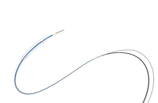 Carotid Rx PTA Balloon Catheter