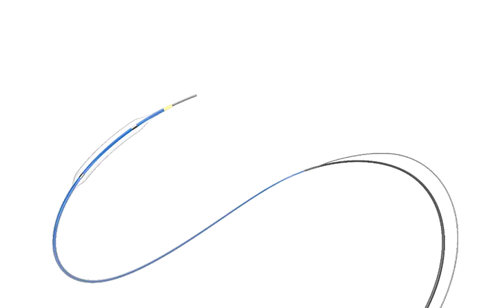 Carotid Rx PTA Balloon Catheter