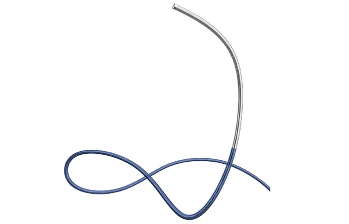 SilverNav™ Plus Distal Access Catheter